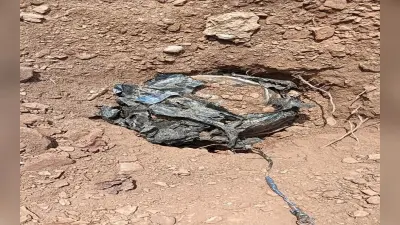 छत्तीसगढ़ : कांकेर व नारायणपुर में मतदान से पहले बम धमाके, चपेट में आए पोलिंग पार्टी के सदस्य और जवान