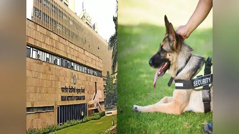 कुत्तों को संभालने की जॉब के लिए IIT दिल्ली ने मांगी बीटेक डिग्री, सोशल मीडिया पर खूब बना मजाक, जाने पूरा मामला