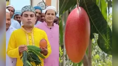 पश्चिम बंगाल में करीब 11 हजार में बिका एक आम, वजह जानकर हो जाएंगे हैरान