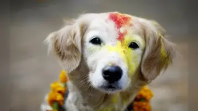 Diwali 2023: तो इसलिए इस देश में दिवाली के दौरान होती है कुक्कुर और कौए की पूजा…