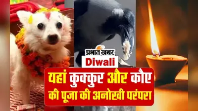 Diwali 2023: इस देश में दिवाली के दौरान कुक्कुर और कौए की पूजा की अनोखी परंपरा, देखें वीडियो