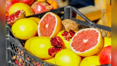 Health Tips: विंटर सीजन में मिलने वाले ये 7 फलों का सेवन बचाएगा आपको हर बीमारी से
