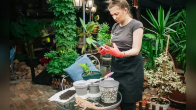 Gardening Tips: ठंड में घर में उगाएं फ्रेश सब्जियां, जानें इस समय कौन सी सब्जी उगाना है बेस्ट