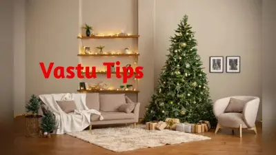Vastu Tips: वास्तु के अनुसार इस दिशा में क्रिसमस ट्री लगाना होता है बेहद शुभ