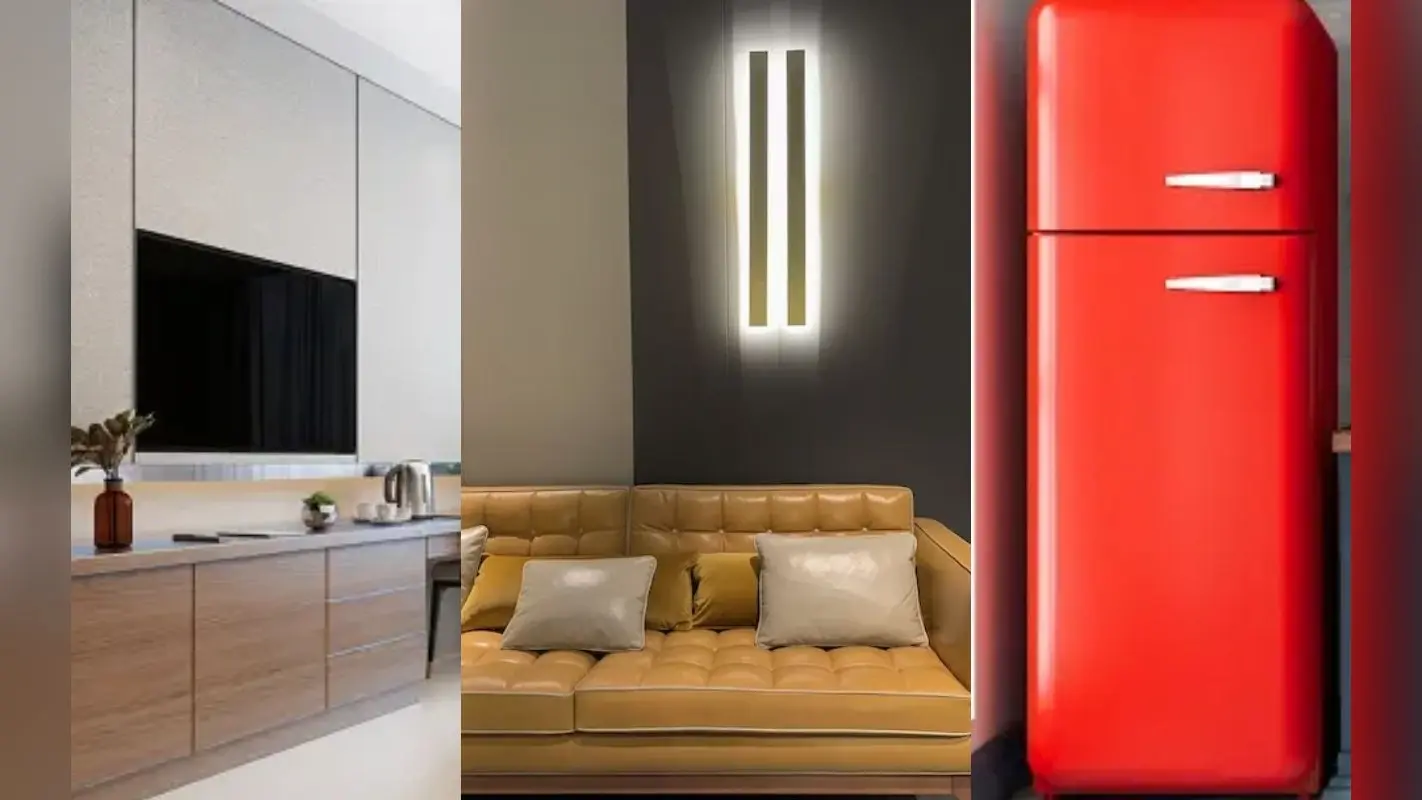 Vastu Tips: घर की इस दिशा में भूलकर भी न रखें टीवी, सोफा और फ्रिज, नहीं तो लगेगा वास्तु दोष