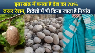 झारखंड में बनता है देश का 70% तसर रेशम, विदेशों में भी किया जाता है निर्यात