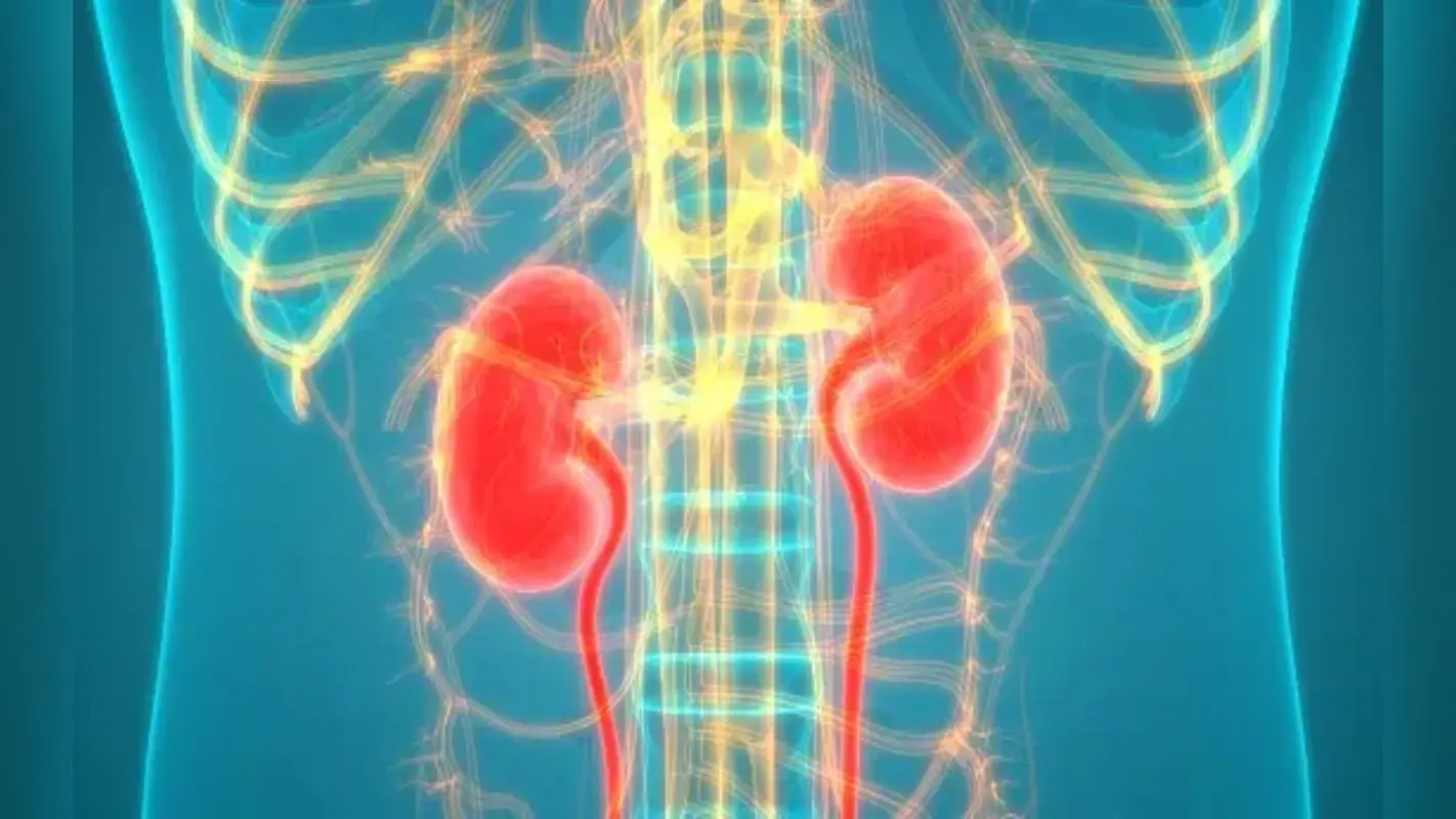 Women Health: UTI से सबसे ज्यादा महिलाएं होती हैं परेशान, पहचानिए लक्षण और जानिए बचाव
