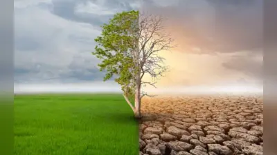 संभव है ग्लोबल वार्मिंग का समाधान
