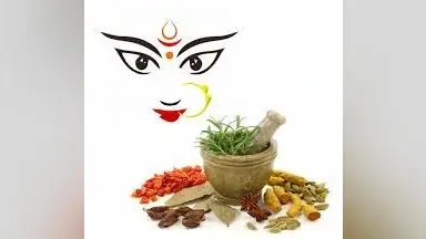 इन 9 औषधियों में है स्वयं मां दुर्गा का वास, जानिए क्याें कहा गया इन्हे “दुर्गा कवच”