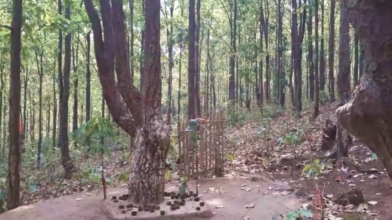 जंगल बचाने के लिए ग्रामीणों ने की थी 100 किलोमीटर की पदयात्रा पार्ट 2