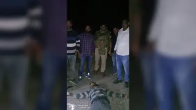 प्रयागराज के मांडा के जंगल में तड़तड़ाईं गोलियां, पुलिस और बदमाशों के बीच हुई मुठभेड़, दो गिरफ्तार