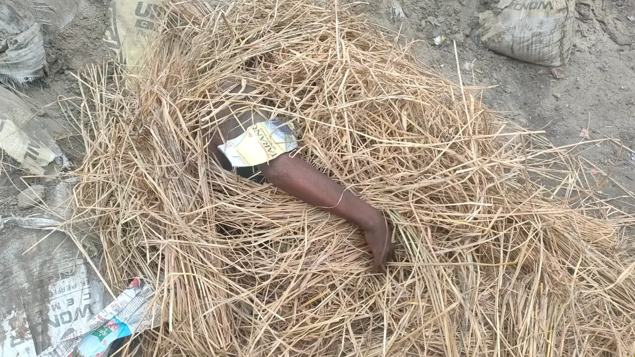 Aligarh News: खुले में सोता दिखा कोई तो तय कार्रवाई, डीएम सेल्वा ने जारी किए सख्त निर्देश