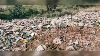Aligarh News: अलीगढ़ में गंदगी से निपटने की तैयारी, साफ-सफाई के लिए 80 वार्ड में 27 नोडल ऑफिसर तैनात