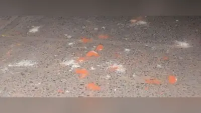Sambhal News: होली के जुलूस में धार्मिक स्थल पर फेंका रंग, दो समुदायों के बीच जमकर हुआ पथराव