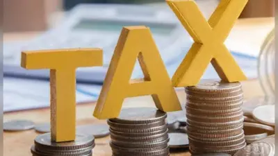 Income Tax Return: अभी तक 14 लाख लोगों का नहीं आया टैक्स रिटर्न, आयकर विभाग ने बताया क्यों हो रही देरी