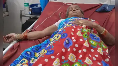 Agra News: बुजुर्ग महिला पर गाय ने किया हमला, सींग लगने से पेट फटा