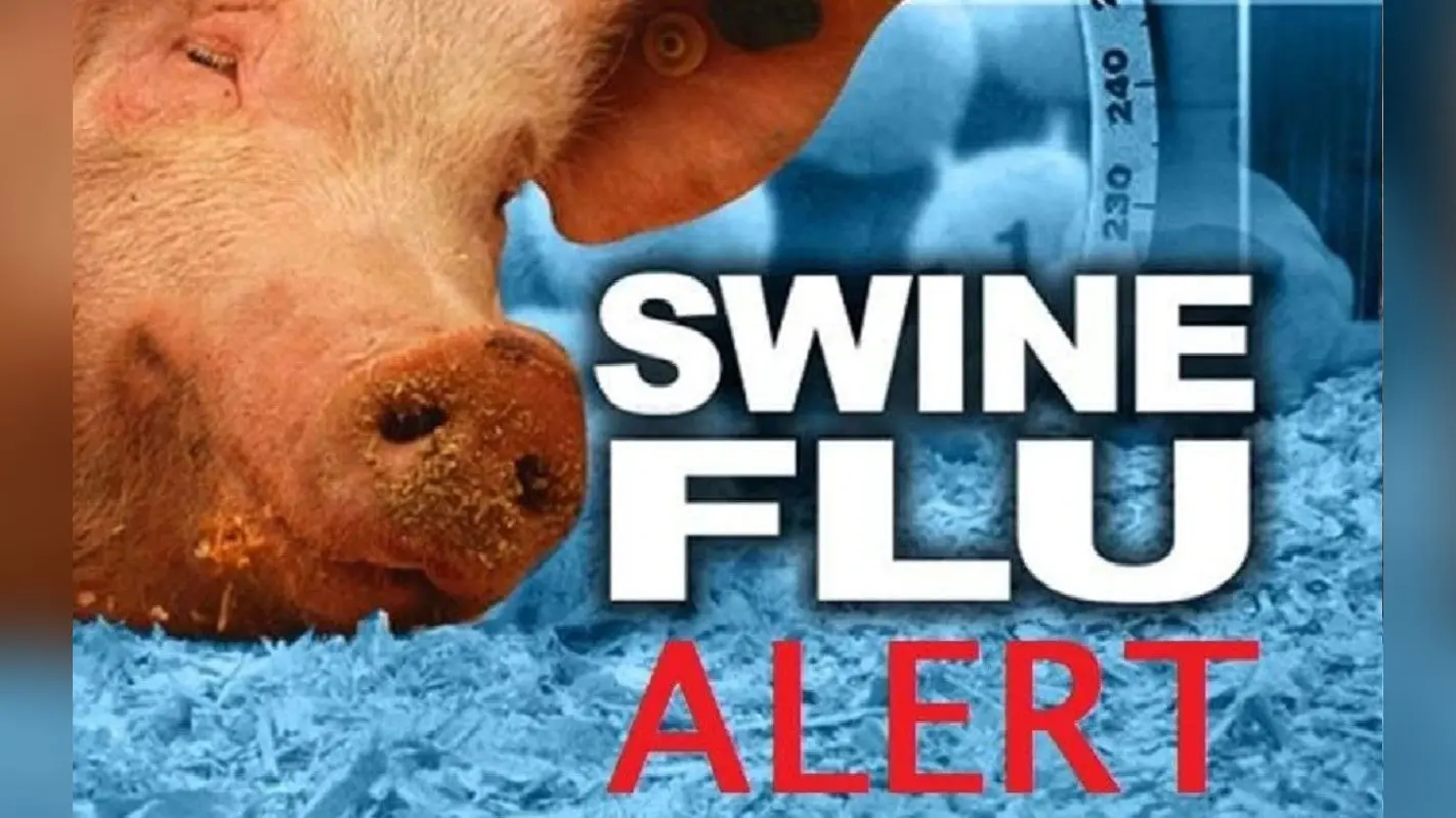 Jalandhar Swine Flu News : जालंधर में बढ़ा स्वाइन फ्लू का खतरा, स्वास्थ्य विभाग की टीम ने दी वार्निंग