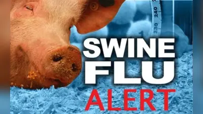 Jalandhar Swine Flu News : जालंधर में बढ़ा स्वाइन फ्लू का खतरा, स्वास्थ्य विभाग की टीम ने दी वार्निंग