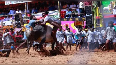 Omicron Updates : जलीकट्टू खेल महोत्सव इन गाइडलाइन के साथ आयोजित होगा, एकबार सुप्रीम कोर्ट कर चुका है बैन