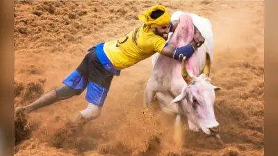 Jallikattu: तमिलनाडु में जल्लीकट्टू के दौरान दो लोगों की मौत, 75 घायल, मुख्यमंत्री ने की मुआवजे की घोषणा