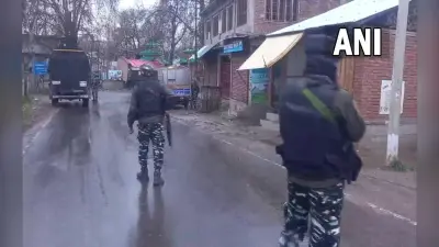 Jammu Kashmir: पुलवामा में सुरक्षाबल और आतंकियों के बीच मुठभेड़, सर्च अभियान जारी