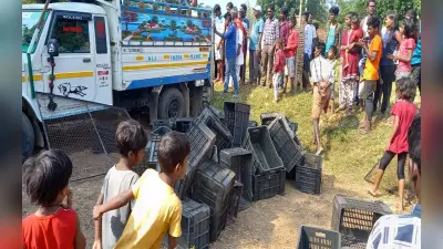 झारखंड में पिकअप वैन से हो रही थी पशुओं की तस्करी, ऐसे हुआ खुलासा, ग्रामीणों ने पुलिस को सौंपा