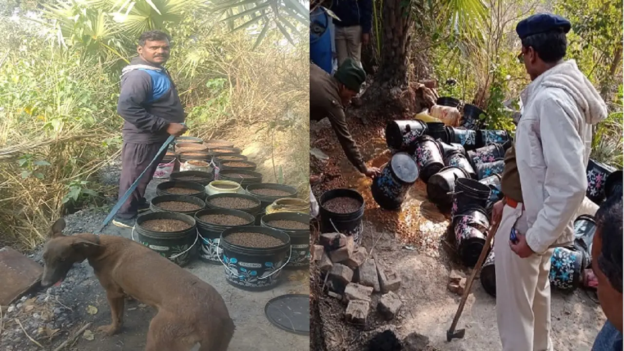 Bihar: जमुई में झाड़ियों के बीच बनाई जा रही थी अवैध देसी शराब, डॉग स्क्वायड लेकर पहुंच गयी उत्पाद पुलिस