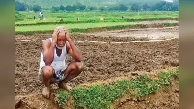 राज्य में लगातार दूसरे साल सुखाड़ की स्थिति, झारखंड सरकार ने केंद्र को दी जानकारी, मिला ये जवाब