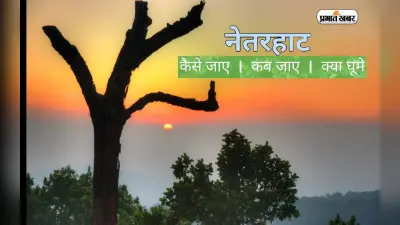 विंटर वैकेशन का बना रहे हैं प्लान तो Netarhat की वादियों में मिलेगा आपको सुकून, जानिए कब-कैसे पहुंचें