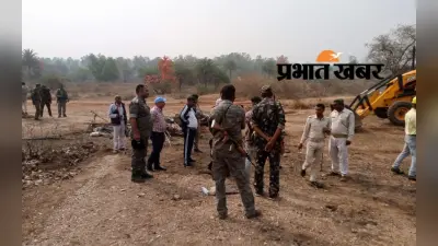 Giridih News: अवैध कोयला कारोबार के खिलाफ पुलिस की कार्रवाई, 10 टन कोयला जब्त, 11 बैलगाड़ी नष्ट