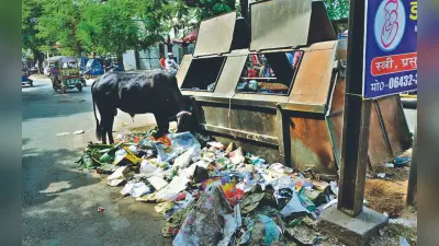 साहिबगंज : डोर-टू-डोर नहीं हो रहा उठाव, महिलाओं को सड़क पर आकर वाहन में डालना पड़ रहा कचरा