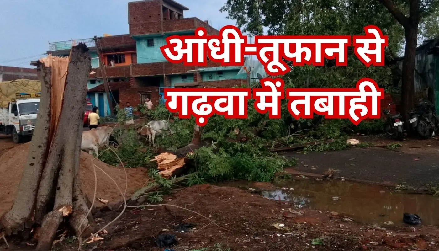 गढ़वा : आंधी-तूफान व बारिश से गोदरमाना में मची तबाही, कहीं सड़क पर तो कहीं मकान पर गिरा पेड़, देखें PICS