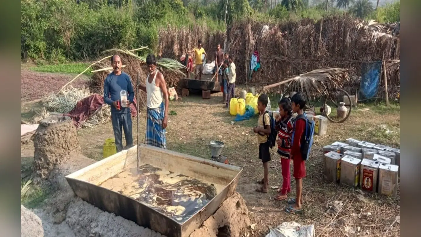 West Bengal: पश्चिम बंगाल के बांकुड़ा में काली पूजा से मकर सक्रांति तक तैयार किए जाते हैं खजूर का गुड़
