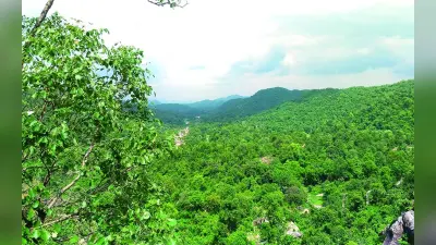 My Mati: प्राचीन काल से प्रकृति की रक्षा करते आये हैं आदिवासी समाज