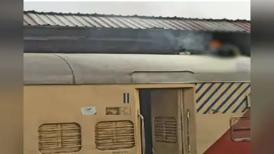Kasganj: चप्पल लेकर ट्रेन की बोगी पर चढ़ा बंदर, उतारने गए युवक की करंट से जलकर मौत, मंजर देख सहमे लोग