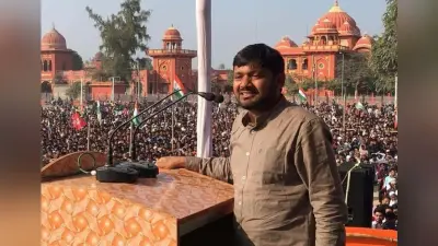 कन्हैया कुमार से पहले JNU के ये छात्र नेता भी हो चुके हैं कांग्रेस में शामिल, मगर अब भी तलाश रहे राजनीतिक जमीन