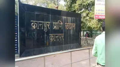 Kanpur Zoo में बढ़ती गर्मी में राहत देने के लिए जानवरों के लिए लगाया गया कूलर और फव्वारा