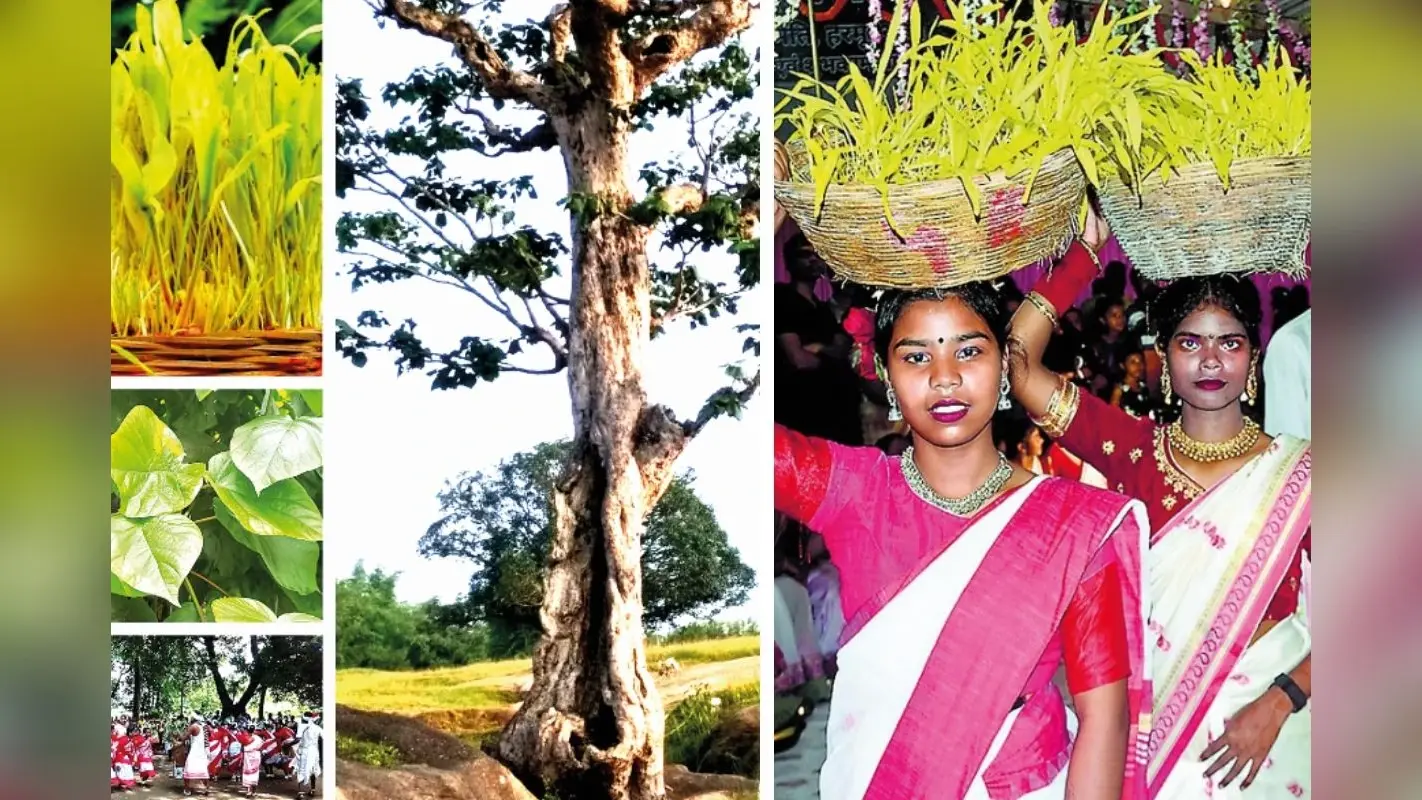 Karma Puja: प्रकृति और वृक्ष से जुड़ाव का पर्व है करमा, भाइयों से जुड़ी हैं भावनात्मक कहानियां