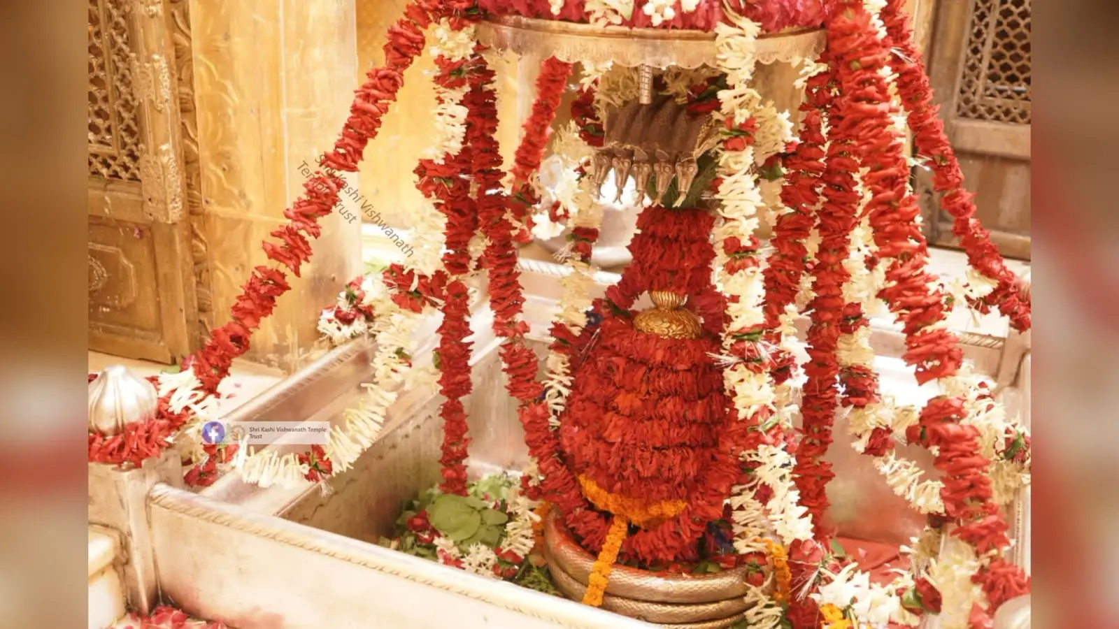 काशी विश्वनाथ मंदिर में श्रद्धालु कर सकेंगे VIP दर्शन, हाईकोर्ट ने न्यासी बोर्ड के फैसले को रखा बरकरार