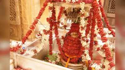 Varanasi News: उपराष्ट्रपति वेंकैया नायडू ने काशी विश्वनाथ के दरबार में टेका मत्था, देखें तस्वीरें