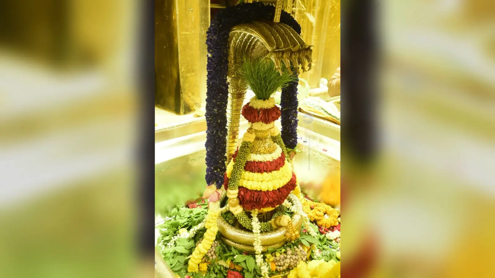 काशी विश्वनाथ सावन में भव्य स्वरूप में देंगे दर्शन, मंगला आरती हुई महंगी, श्रद्धालुओं का फूलों से होगा स्वागत