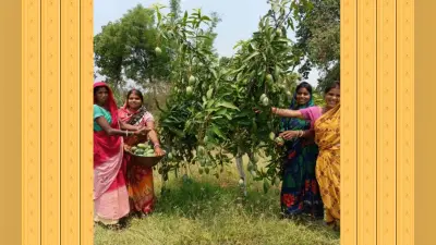 झारखंड : ‘आम’ ने कसमार की महिलाओं को बनाया खास, बड़े पैमाने पर हो रही खेती