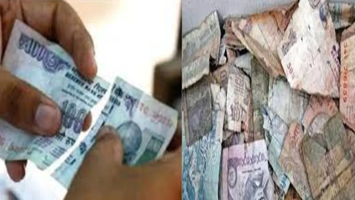 Bank News: बैंक में इस तरह बदलें कटे-फटे नोट, जानें आसान तरीका