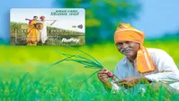 KCC Loan: खेती की जमीन है लेकिन KCC नहीं बना? जानें किसान क्रेडिट कार्ड बनवाने के 7 बड़े फायदे