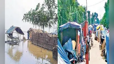 Bihar Flood: पेड़ पर चढ़कर शौच करने को मजबूर बिहार के बाढ़ पीड़ित, लाचार होकर जी रहे शर्मिंदगी भरी जिंदगी