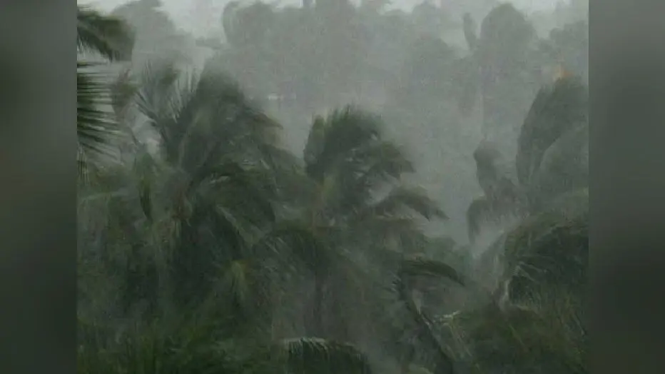 केरल में एक जून को मानसून दे सकता है दस्तकः मौसम विभाग