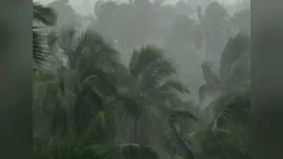 केरल में एक जून को मानसून दे सकता है दस्तकः मौसम विभाग