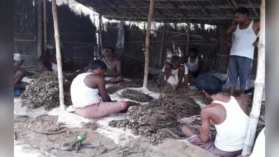 वर्ल्ड नो टोबैको डे : पलामू में हर महीने बेची जाती है एक करोड़ रुपये से अधिक की खैनी, इससे दूर रहने की अपील