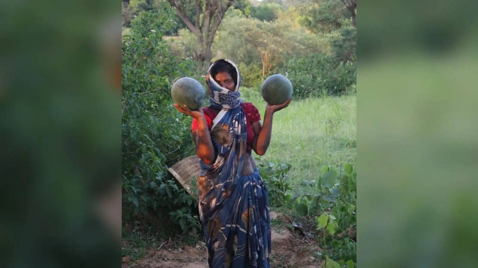 गुड न्यूज : लॉकडाउन में भी खिले किसानों के चेहरे, कृषि नियंत्रण कक्ष के जरिए बिक रहीं सब्जियां