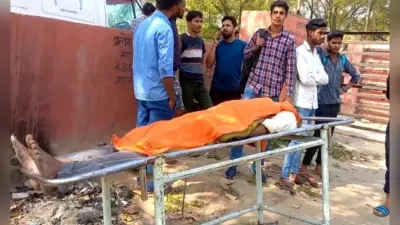 बिहार में गर्मी बढ़ाएगी किसानों की टेंशन, आम व लीची के साथ-साथ गेहूं व मकई को लेकर एडवाइजरी जारी